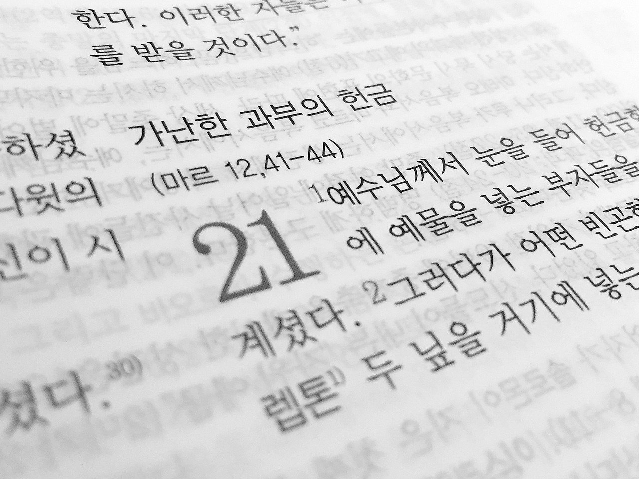 2026 중학생 일본어 교류 학습법 7가지와 문화 이해 포인트 — 독서 관련 이미지